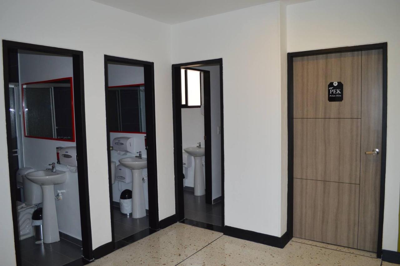 Wanderlust Hostel Armenia  Luaran gambar